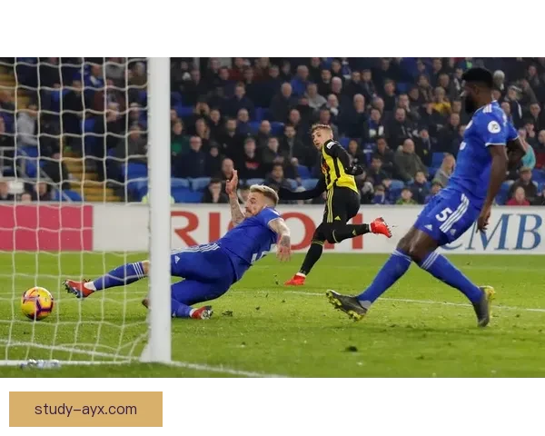 卡迪夫城俱乐部发展历程及其在英格兰足球中的重要地位分析